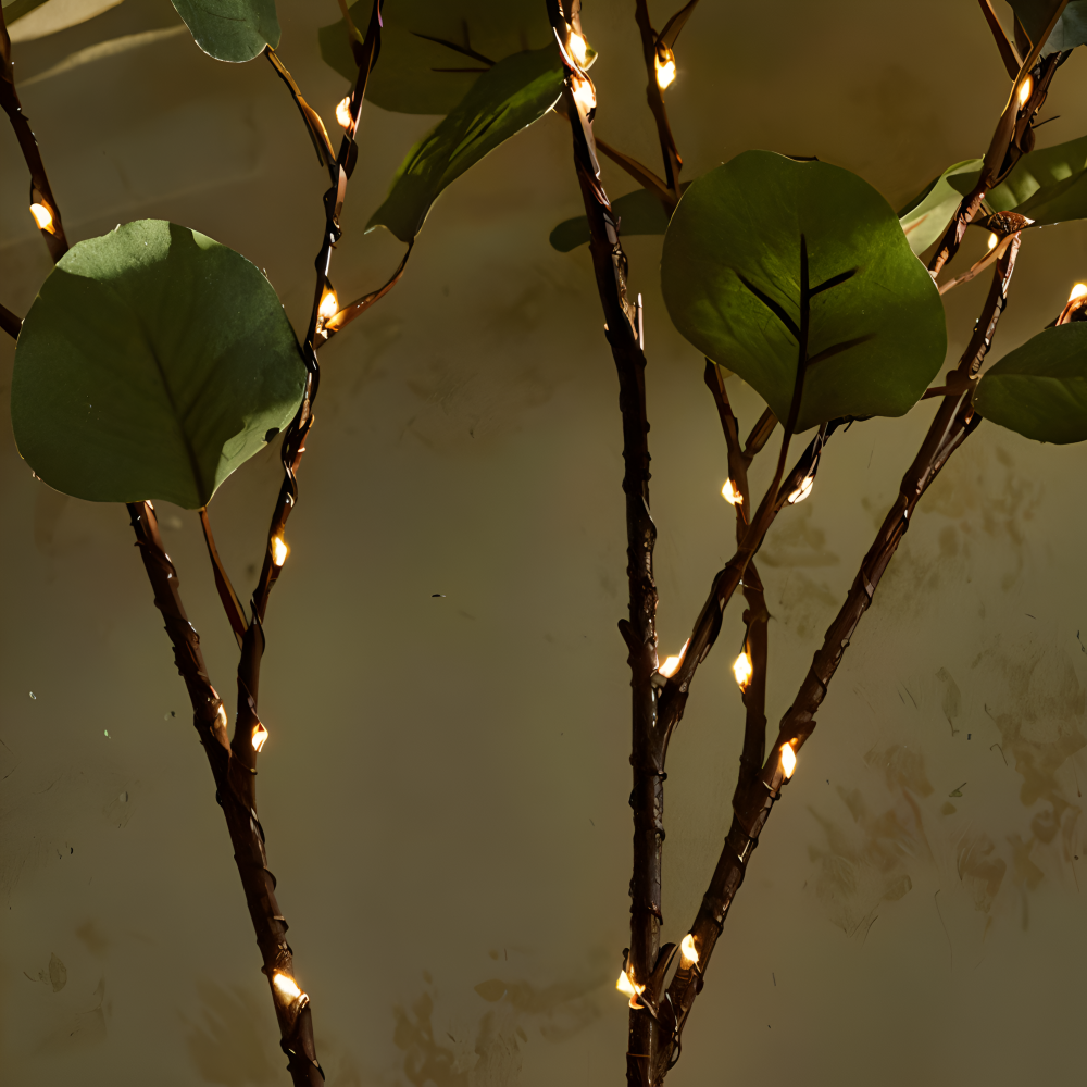 Botanica No. 70: Illuminert Kvist